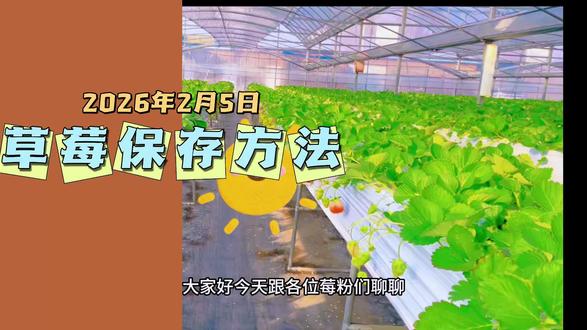 #有趣的知识又增长了 草莓🍓保存之我见#谁还没个隐藏技能