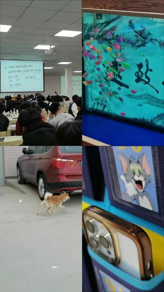 第一次尝试vlog~ 大家一起学习 没时间来线下的学生咱们线上平台也有网课,终将上岸#vlog日常 #考公 #三支一扶 #特岗教师 #热门