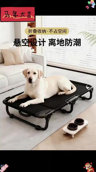宠物床 【免安装可折叠】宠物床四季通用狗床特斯林网布透气耐磨狗狗行军床#免安装 #狗狗用品 #透气耐磨 #宠物床 #可折叠