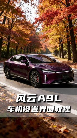 车机设置界面教程 #新能源汽车购置税#汽车讲解#混动车#国补新能源#风云A9L