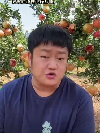 为什么总有人相信物美价廉呢?一份价钱一分货的道理小孩都懂。##现摘现发新鲜到家 #新鲜应季水果 #突尼斯软籽石榴 #不用吐籽的石榴 优质农产品