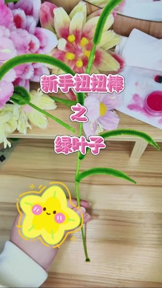 新手也能做的绿叶子来啦~~
包教包会💫#新手#教程#扭扭棒#绿叶子#手工@抖音创作小助手