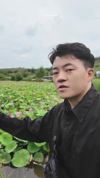 2025.8.8打卡心景花海 为荷而来 #摄影 #赤峰