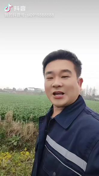 彩礼那些事…#正能量#彩礼#热点话题