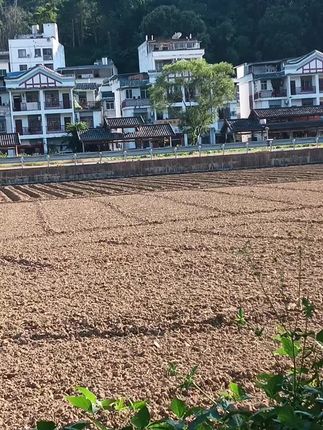路过宝地,随手一拍,