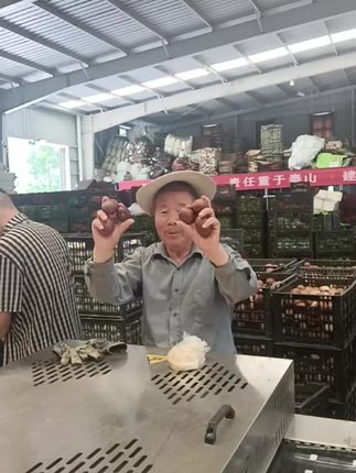 喜欢吃的下小黄车