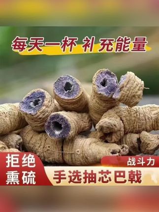 巴戟深山泡茶泡酒福建特产泡酒煲汤养生新鲜滋补营养巴戟