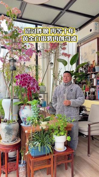 错过昨晚,再等十年,黄金白银可能要再创历史新高。#把生活拍出电影感 #老了也有一颗浪漫的心