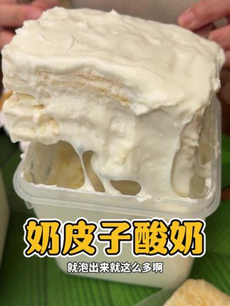 升级款超厚plus奶皮子酸奶!奶味超浓郁超好吃!不控制我能一口气炫半桶!内蒙的酸奶真的是一口惊艳呀!#奶皮子 #酸奶 #内蒙古美食 #奶制品 #奶皮子酸奶
