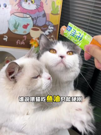 喂鱼油别硬刚!这云杉爆爆条让挑嘴猫狂炫~ #萌宠好物 #主食猫条 #吃货猫 #猫咪补水 #莓小萌云杉爆爆条