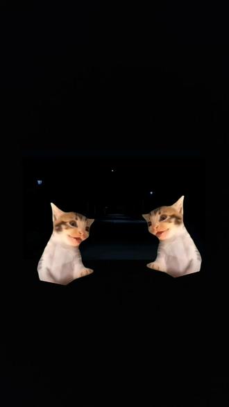 拼好鸽,完整版。
"看鸽的雷霆舞姿"