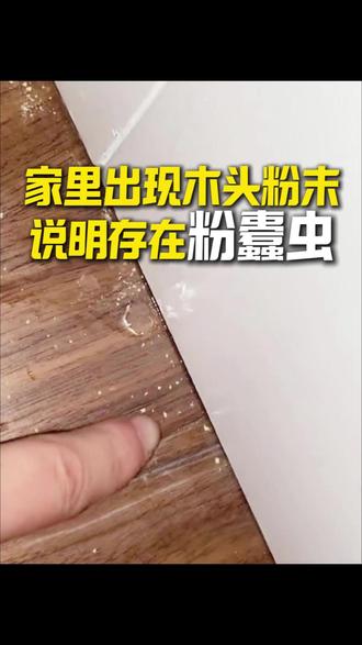 家里出现木头粉末说明存在粉蠹虫 家里要是看到这样的粉末,可得注意了!说明家里已经滋生粉蠹虫。
这种虫子比米粒还小,专门啃食木质家具、装修板材,会在木料表面留下针眼大小的孔洞;一边侵蚀木质纤维,一边排出木头粉末。
木料内部的幼虫成熟后,会从洞口飞出,继续祸害其他木质品,虫害只会越来越多。
想要消灭实木家具内部的粉蠹虫,可以使用这款粉蠹虫杀虫剂:将药液注入虫洞,就能灭杀内部的成虫与虫卵;再对木质表面均匀喷洒,隔绝防护,防止新的粉蠹虫侵入侵害。#粉蠹虫 #木头掉粉 #粉蠹虫长什么样 #粉蠹虫杀虫剂 #粉蠹虫怎么消灭