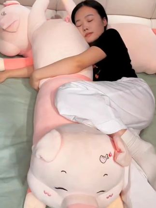 #抱枕 #也太可爱了吧 #毛绒玩具 #这也太好看了 #毛绒公仔