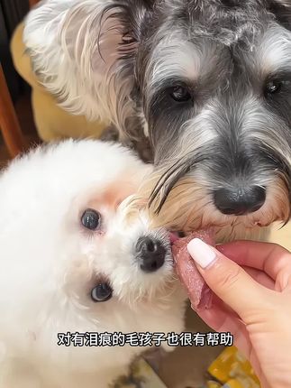 高温蒸煮的鱼油鸭胸肉,营养又美味,猫咪狗狗都爱吃!#蒸煮鱼油鸭胸肉 #宠物 #萌宠