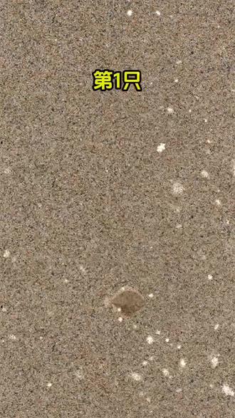 越往后越找不到了,瞎蒙的嘿嘿