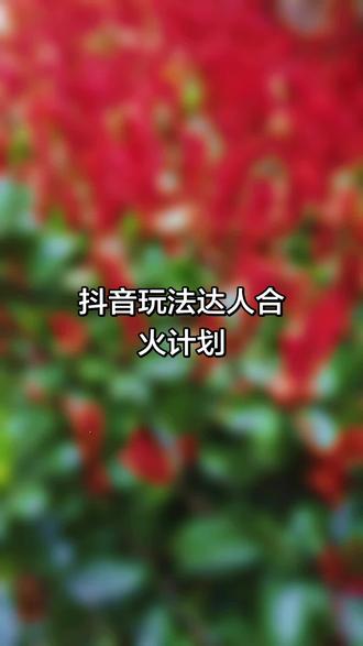 抖音玩法达人合火计划,你也可以来试试哦,抖音平台是很讲诚信的哟,有收益的,今天发,明天有,明天发,后天有,从抖音玩法达人中心发作品就有收益,#抖音小助手上热门