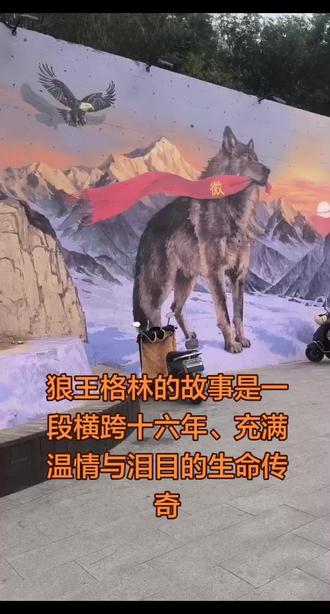 南充的格林墙#狼 #景点打卡 #奇妙的动物