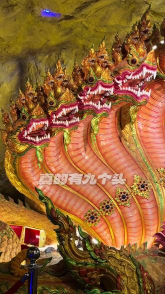 中国龙和泰国龙的区别还是很大#泰国 #文化 #龙