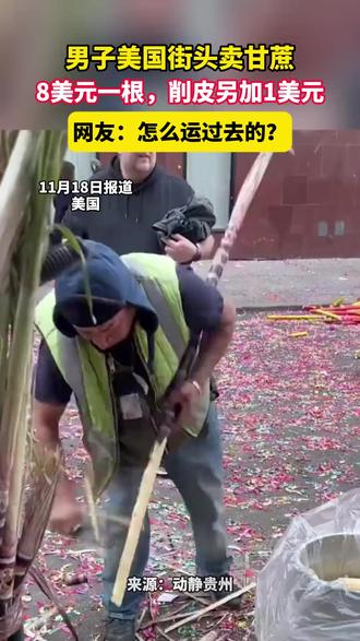 男子美国街头卖甘蔗,8美元一根,削皮另加1美元(来源:宁波晚报)