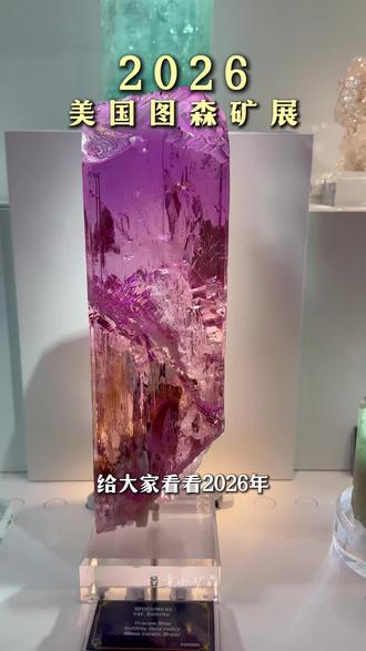 2026图森矿展带大家云观精美矿物,有喜欢的矿打在评论区! #矿物晶体 #矿展 #图森展 #美国图森矿展 #童童小矿晶