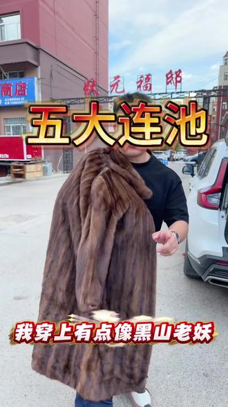 20年前的貂皮生小虫子了 家里太干或太潮貂皮保养不当 就会糟版#皮草工厂 #貂皮大衣 #回收貂皮 #五大连池 #貂皮回收