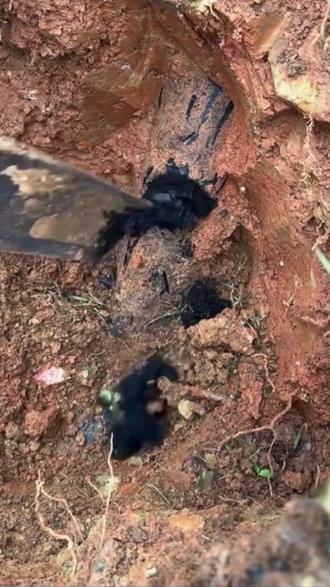 这是挖到了什么。。。。。。#挖掘机