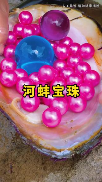 河蚌里面开出了超大蓝色和紫色的宝珠 #三农流量扶持计划 #河蚌 #解压
