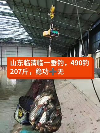 稳功无,干就完了#稳功无
