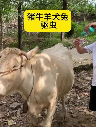 #养殖