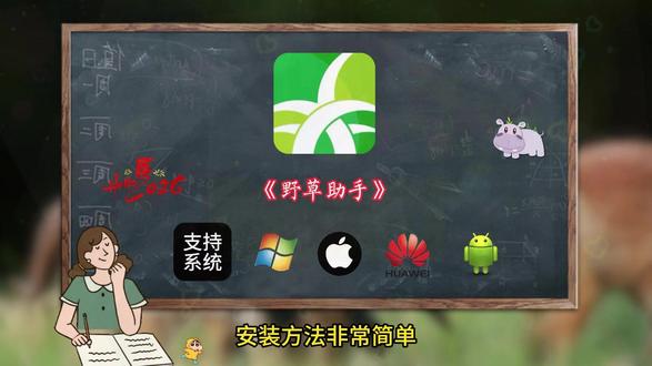 《白纸资源》#野草助手分享码 #分享 #电视剧 #免费软件分享