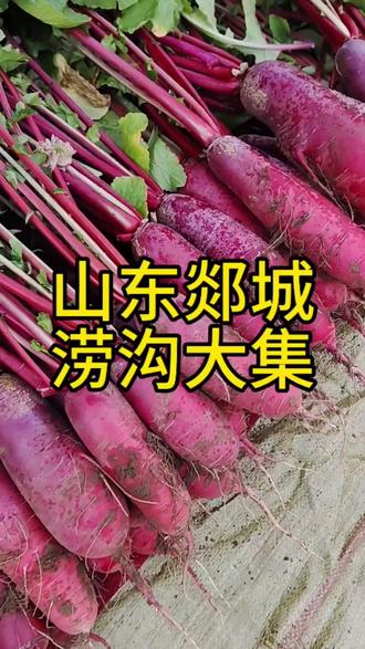 今日涝沟大集(山东临沂市郯城县)还有知道的吗#我的农村生活 #剧情#原创视频