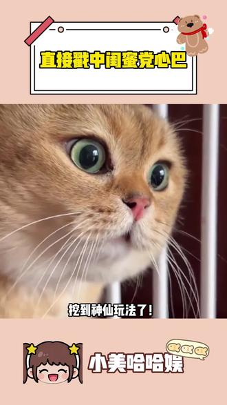 直接戳中闺蜜党心巴#多闪app #小火人AI聊天 #多闪