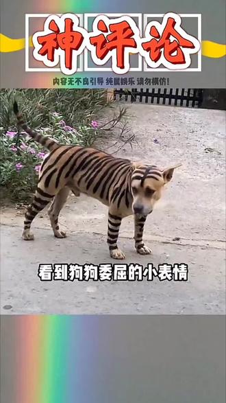 哈哈哈哈谁懂啊!笑到肚子痛,眼泪都飙出来了!#神评论 #搞笑视频 #搞笑配音 #神评论神回复 #专治不开心搞笑视频