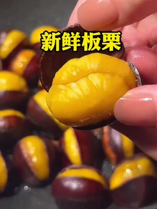 建瓯锥栗2025新鲜高山栗子油栗子农家现摘现发圆板栗毛栗#新鲜板栗 #绿色食品 #农产品 #营养美味 #健康美食