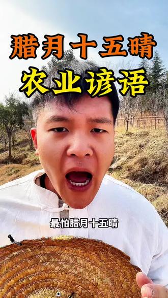 最怕腊月十五晴,农业谚语为啥这么说?#腊月 #农业谚语 #分享农业知识帮农民增产增收 #新农人计划2026 #三农