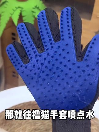 这样一双手套就可以轻松搞定猫咪掉毛的烦恼#养宠知识 #猫毛解决方案 #撸猫手套 #萌宠好物 #养宠进阶指南