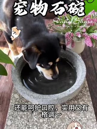 #萌宠 #强烈推荐 #分享 #家有萌宠