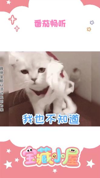 畅听无阻,想听什么都可以! ##番茄畅听#海量音乐免费听 #免费 #省钱 #听歌