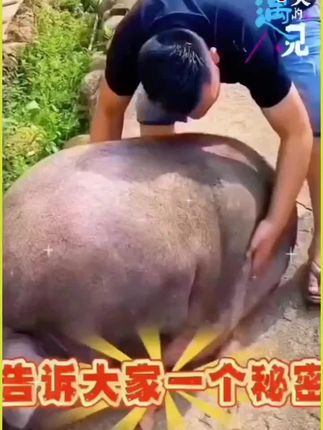 #健康科普 #养生知识 #健康减脂