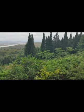 #治愈系风景