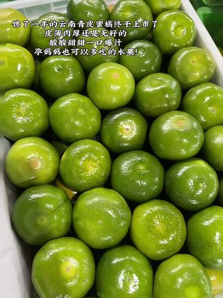 馋了一年的云南青皮蜜桔终于上市了!酸酸甜甜一口爆汁巨好吃!#新鲜应季水果 #橘子 #蜜橘 #青皮蜜桔 #优质农产品