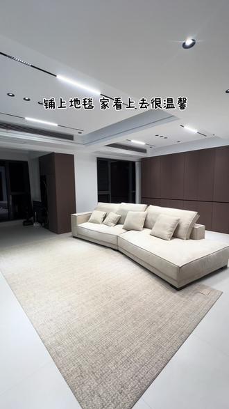 新家第100个快递之羊毛地毯#装修 #客厅布置 #新家第100个快递 #软装 #装修日记vlog