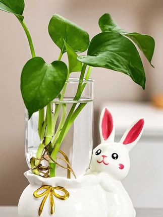 兔子创意水培家居卧室办公电视柜桌面家居饰品摆件客厅花瓶#水培绿植 #家居摆件 #水培摆件 #好物分享 #每日推荐
