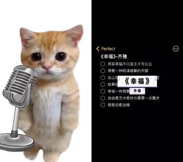 :…( - Thomas Carlyle:No pressure, no diamonds.#齐豫#幸福#歌曲#白鹿#赵露思