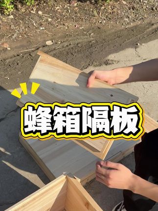 给蜂友推荐一款蜂箱大小隔板,大隔板用于隔断蜂群,可养双王群;小隔板用于避光、保温和控制箱内空间,便于管理蜂群。需要的蜂友快来看看吧!#蜂箱大小隔板 #杉木隔板 #养蜂经验分享 #三农养蜂用具