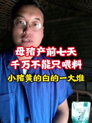 母猪产前七天千万不要只喂料!#母猪#仔猪#哺乳仔猪