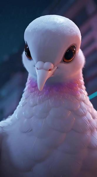 鸽子的故事!#萌宠出道计划 #鸽子 #疯狂的鸽子 #神奇动物在抖音