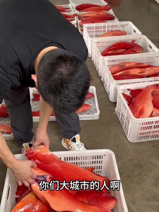 #海鲜水产 #海鲜