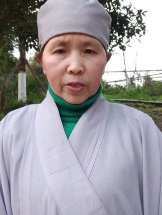 #龙#属龙人属龙的#属龙的人 #属龙