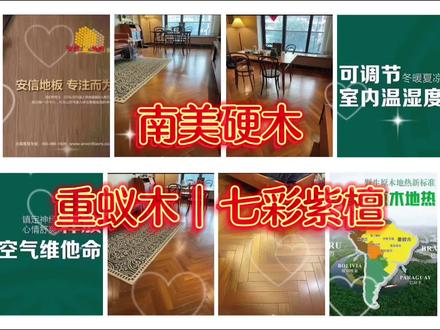 #树木🌲的秘密
南美硬木|七彩紫檀
重蚁木Tabebuia spp.原产南美,又称”七彩紫檀“,紫葳科,是世界上质地最密实的硬木之一,硬度是杉木的三倍,木材管孔细小,翼状,聚翼状的轴向薄壁组织,在放大镜下形如蚂蚁,故称“蚁木”。重蚁木的木质坚硬厚重偏油性,色泽纹理清晰秀丽且多变化,纹理时有夹杂绿金和暗红色的自然纹理。百年重蚁木,一棵树从破土萌芽到参天大树经历几百上千年的时间,这中间从土壤中吸收水分和矿物质,叶片接收阳光照射合成树木所需要的营养物质,历尽沧桑久经风雨,一块好的地板可以说它是“吸日月之精华,聚天地之灵气”,且用且珍惜!
#亚马逊热带雨林#海外直采#巴西工厂#31周年
